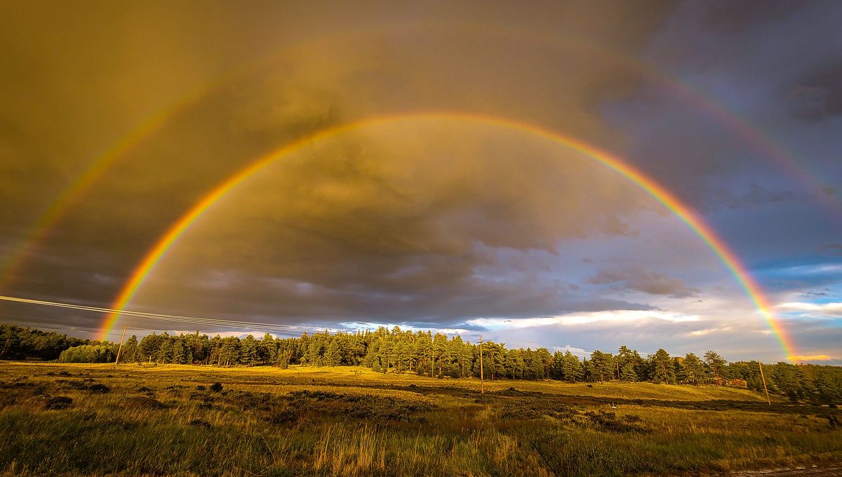A full double rainbow arches over a grassy field and tree line after rain