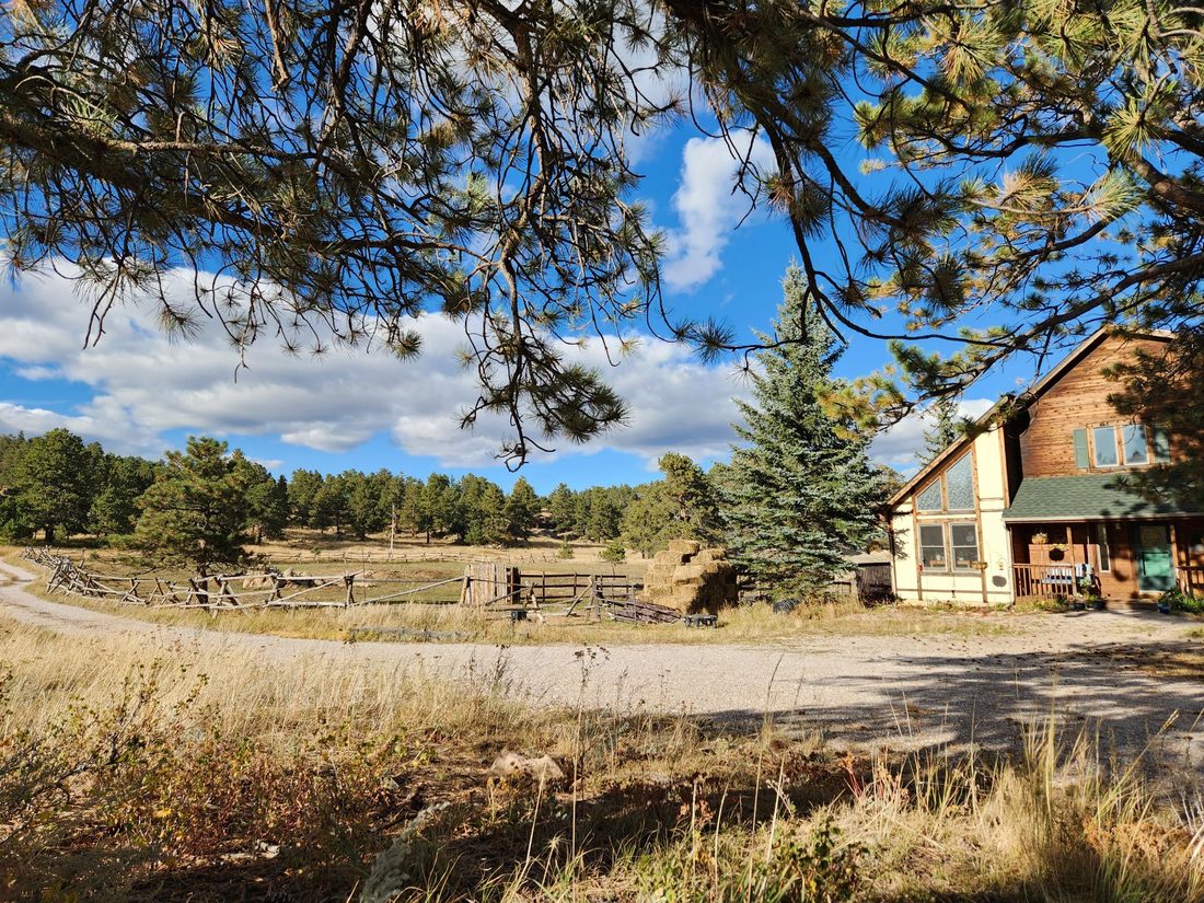 A country home beside a dirt road with rail fence, pines, and open pasture