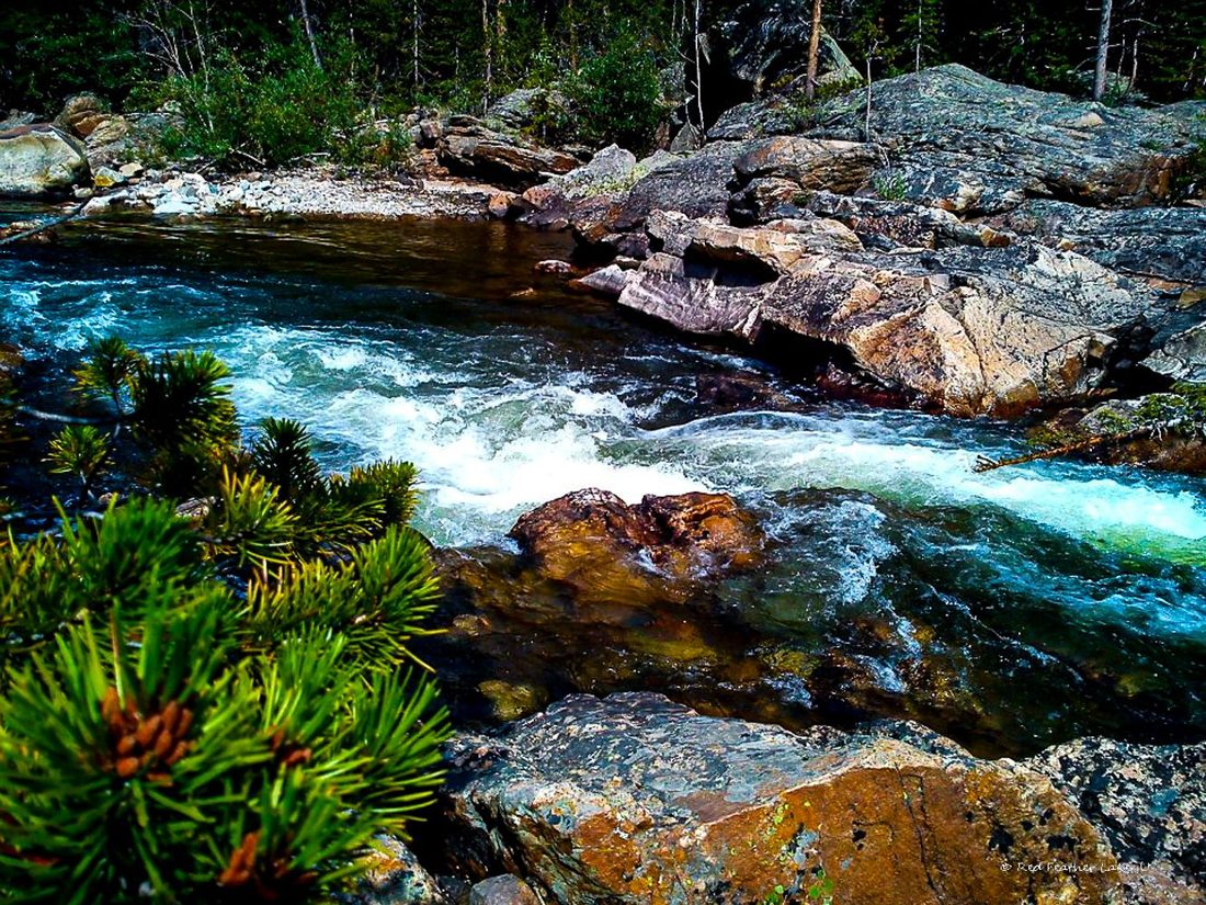 A clear mountain creek tumbling over rocks past pine boughs and big boulders