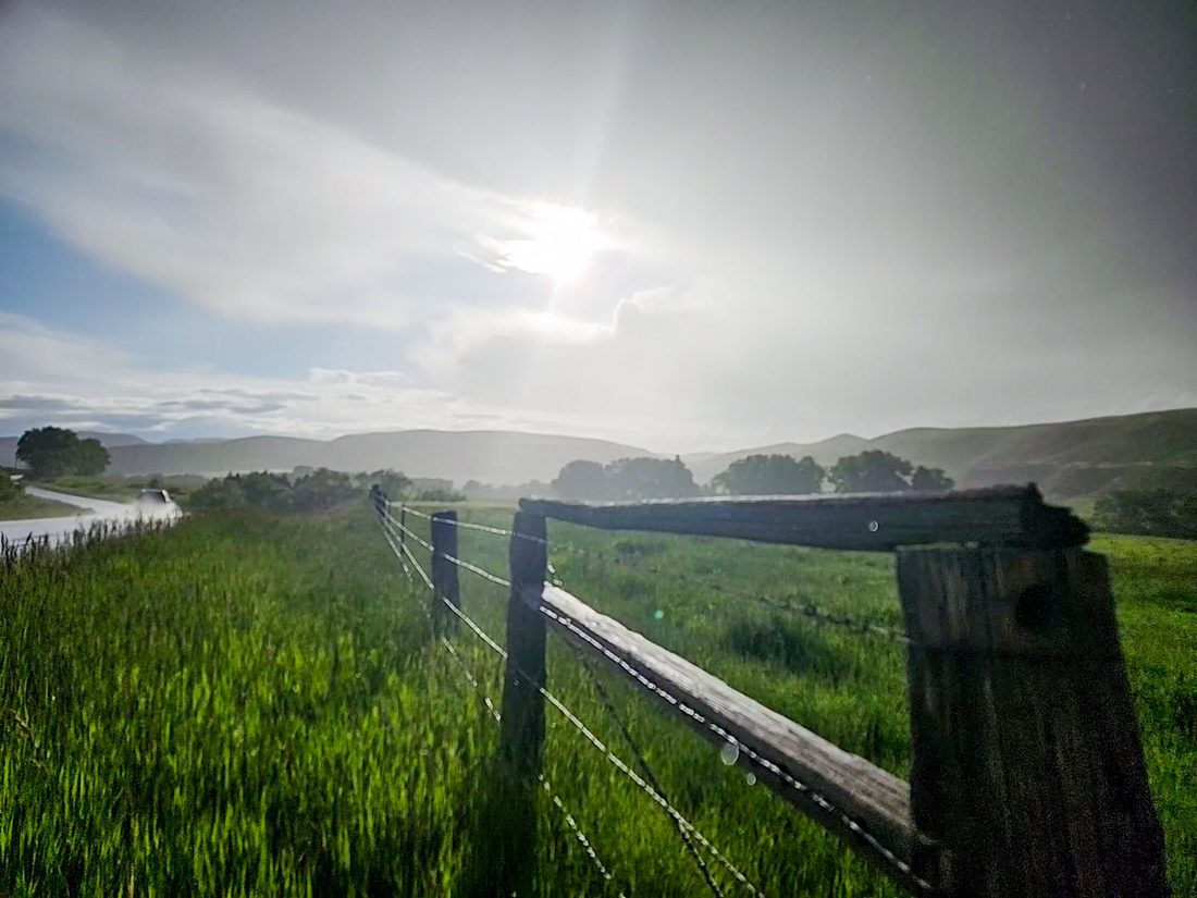 Wooden split-rail and wire fence stretching across a misty green meadow at dusk