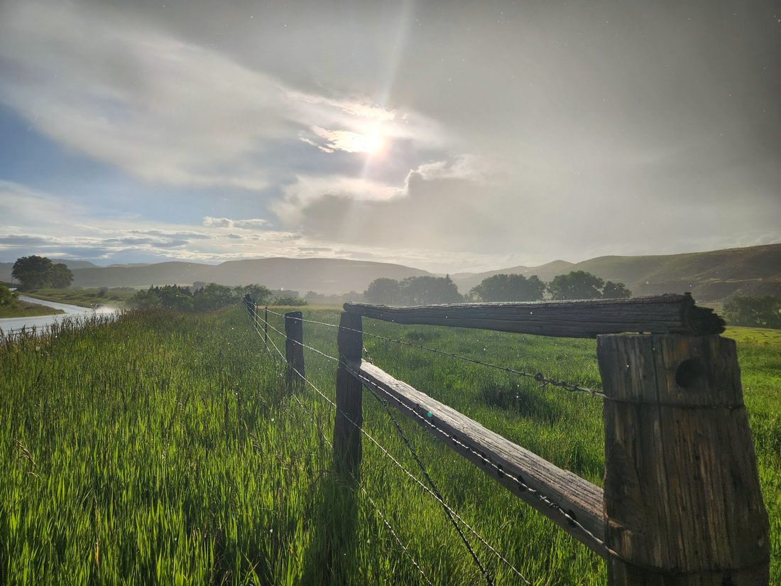 Old wooden fence post and rail in a green field with a bright sunburst overhead